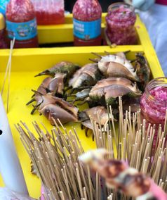 Cebu_PH_City Tour_2026_4